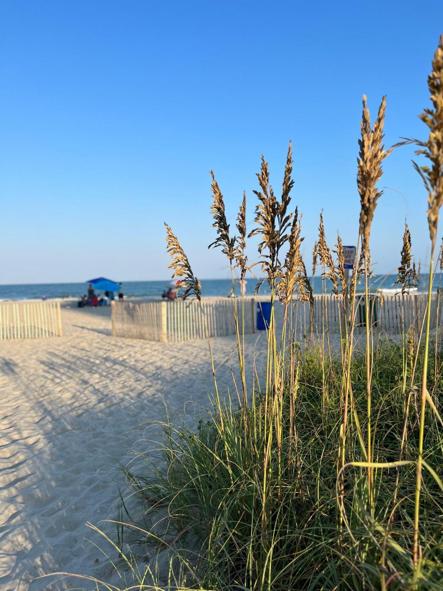 Ocean Dream Vacation Aparthotel Myrtle Beach Kültér fotó